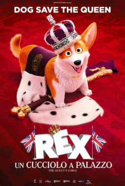 Rex - Un Cucciolo a Palazzo 2019 streaming