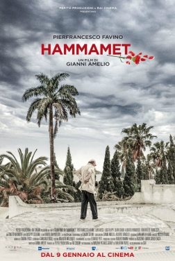 Hammamet 2020 streaming