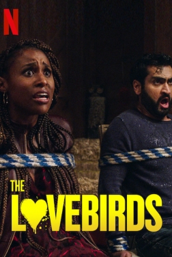 The Lovebirds 2020 streaming