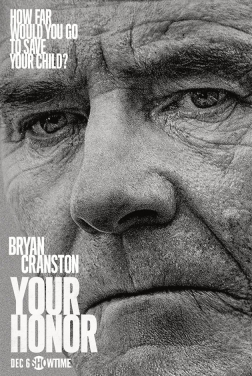 Your Honor (Serie TV) streaming